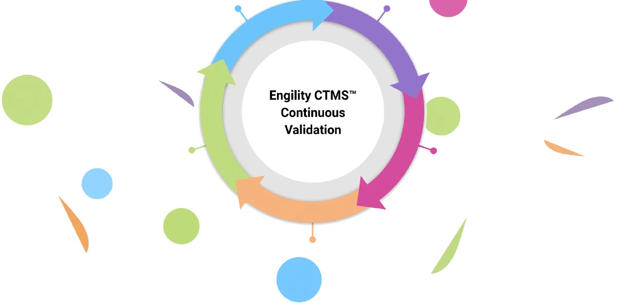 Has Validation in an Agile Software Development Environment come of age?